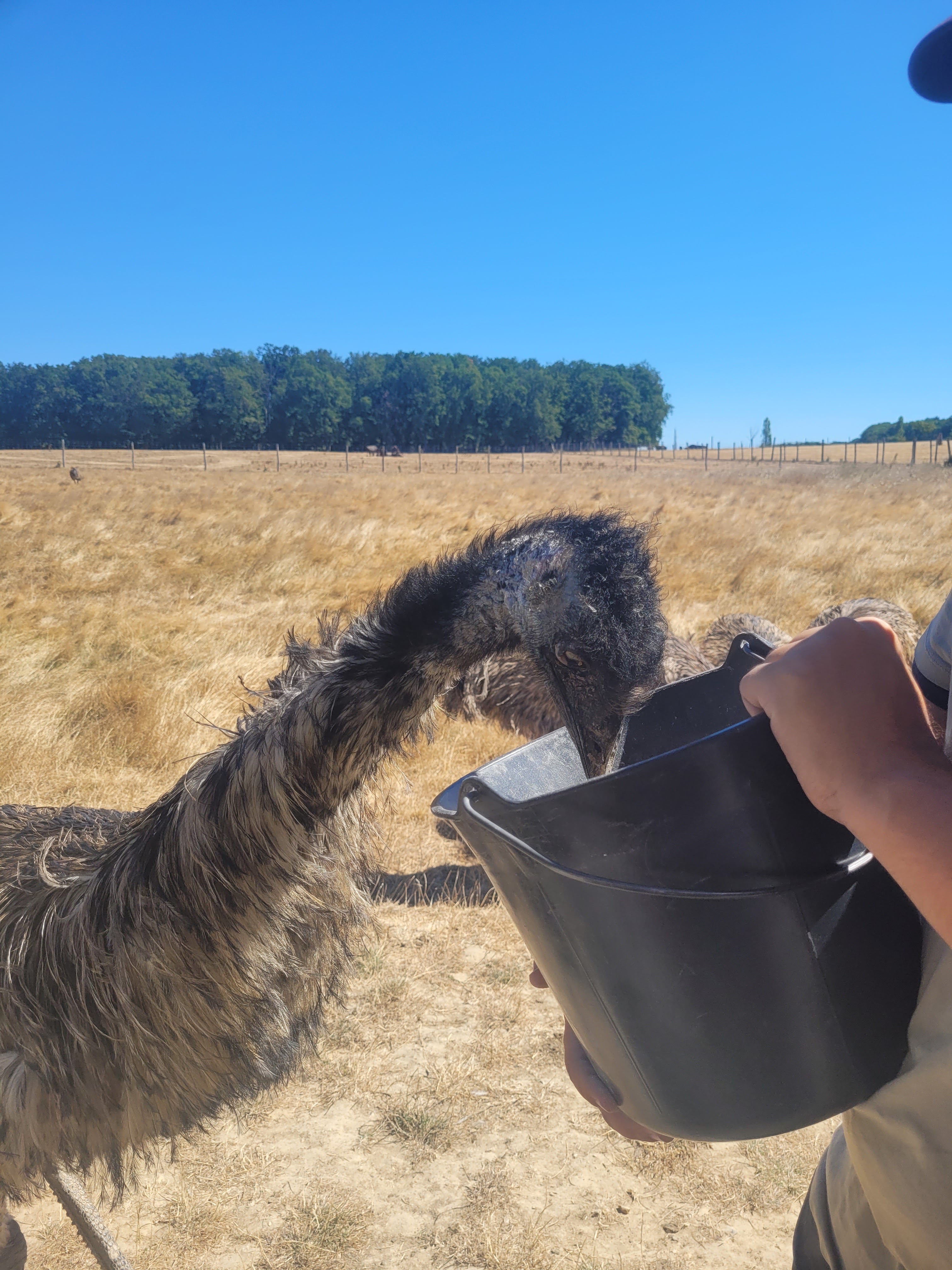 Photo n° 2 de l'avis de Angélique.. fait le 08/08/2022 à 08:36