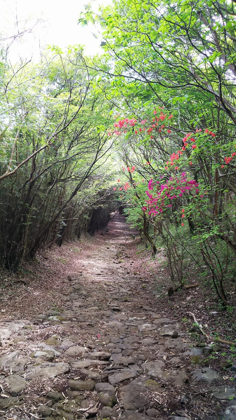 旧東海道（箱根旧街道）大枯木坂