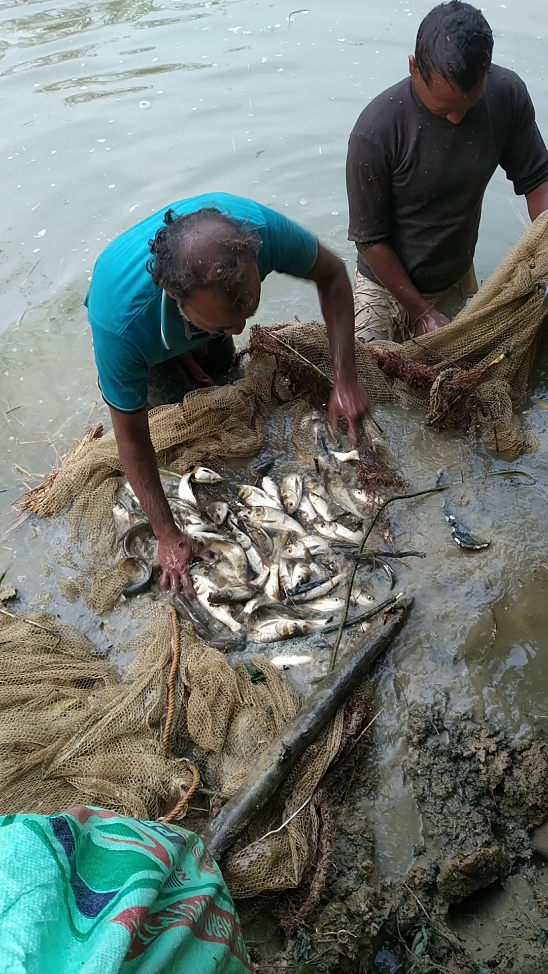 हितनारायन बाबू तालाब