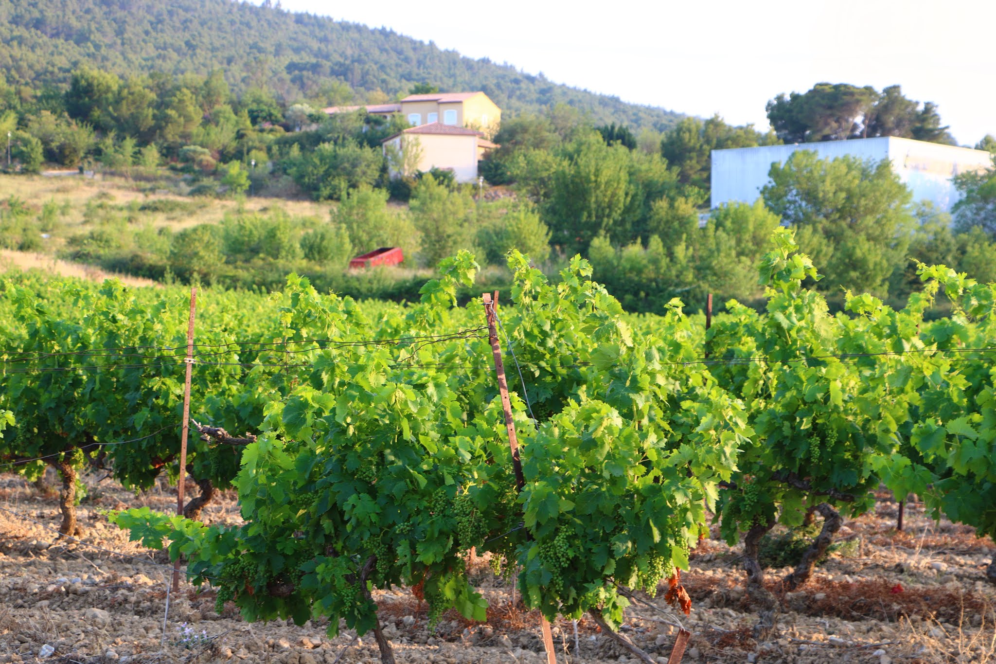 Photo n° 5 de l'avis de rené.a fait le 20/07/2019 à 17:42