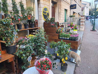 Florazur, Artisan Fleuriste la Turbie à La Turbie