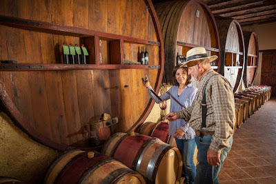 Domaine Des Jougla - Vin Bio - AOP Saint Chinian à Prades-sur-Vernazobre