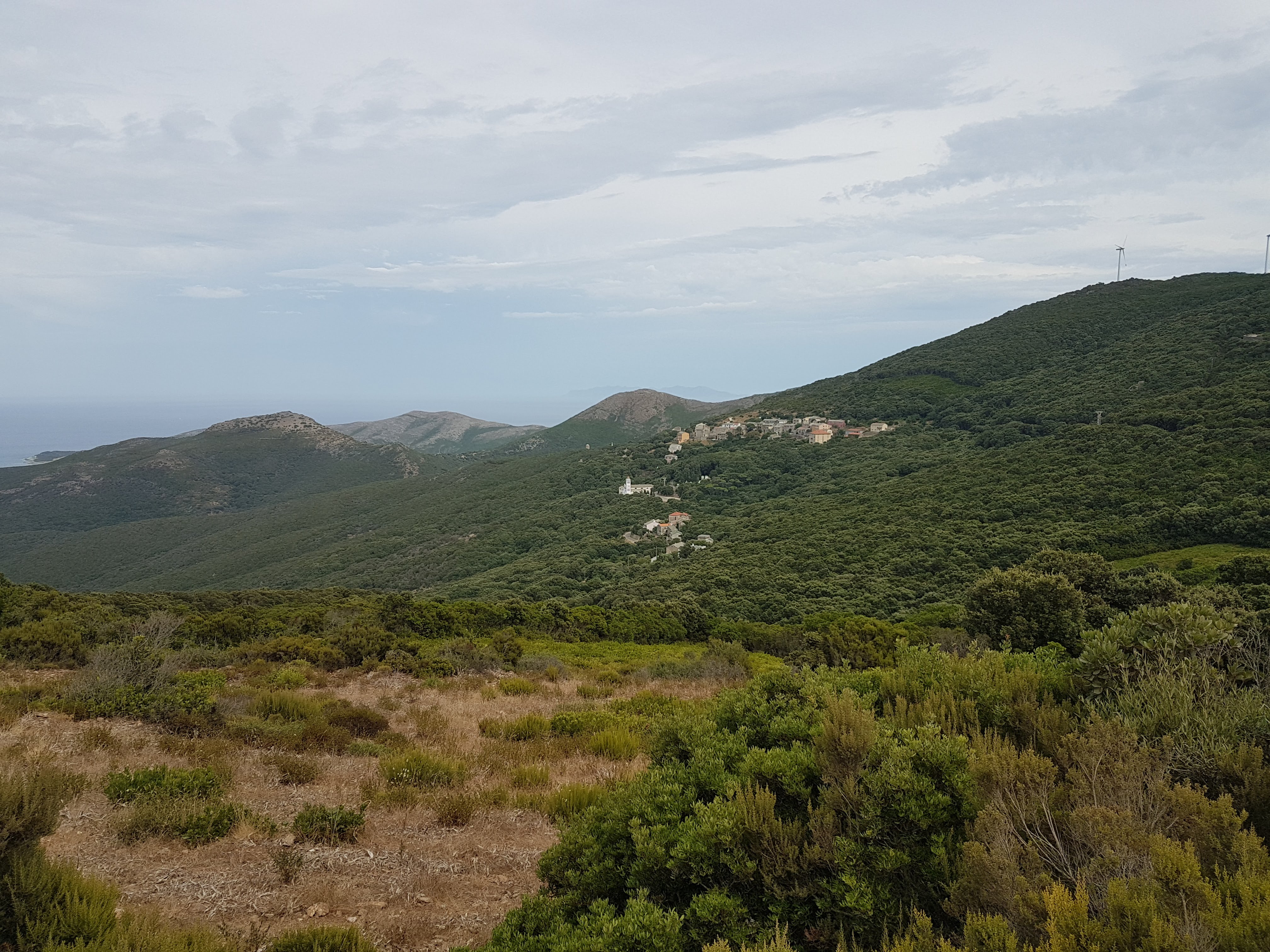 Photo n° 4 de l'avis de Claire.e fait le 13/08/2018 à 21:05