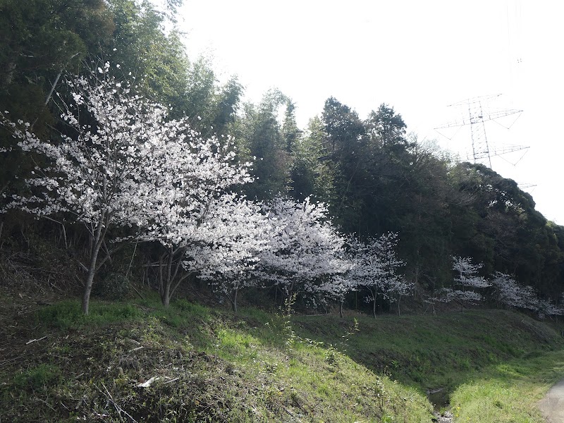 生谷農業三十周年記念桜植樹の碑