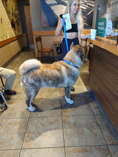 Starbucks image