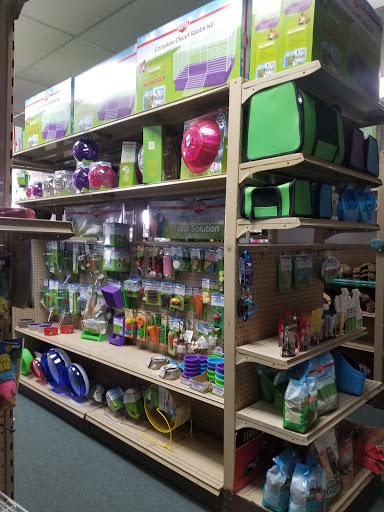 Pet Store «Pet World Ltd», reviews and photos, 14501 Warwick Blvd, Newport News, VA 23608, USA