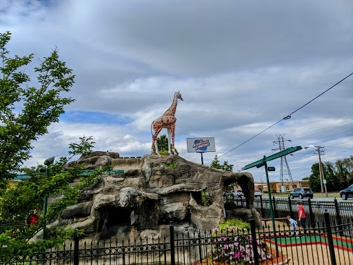 Amusement Park «Adventure Landing Winston-Salem», reviews and photos, 1600 S Stratford Rd, Winston-Salem, NC 27103, USA