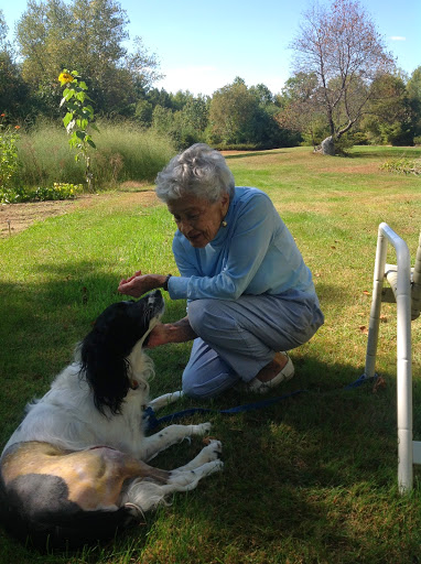 VCA Russell Animal Hospital image