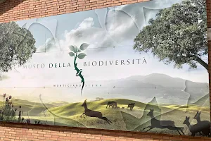 Centro Direzionale delle Riserve Naturali di Siena e Museo della Biodiversità image