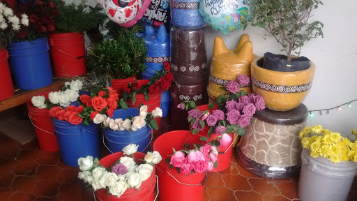 Florería mi lindo michoacan – Chicoloapan de Juárez