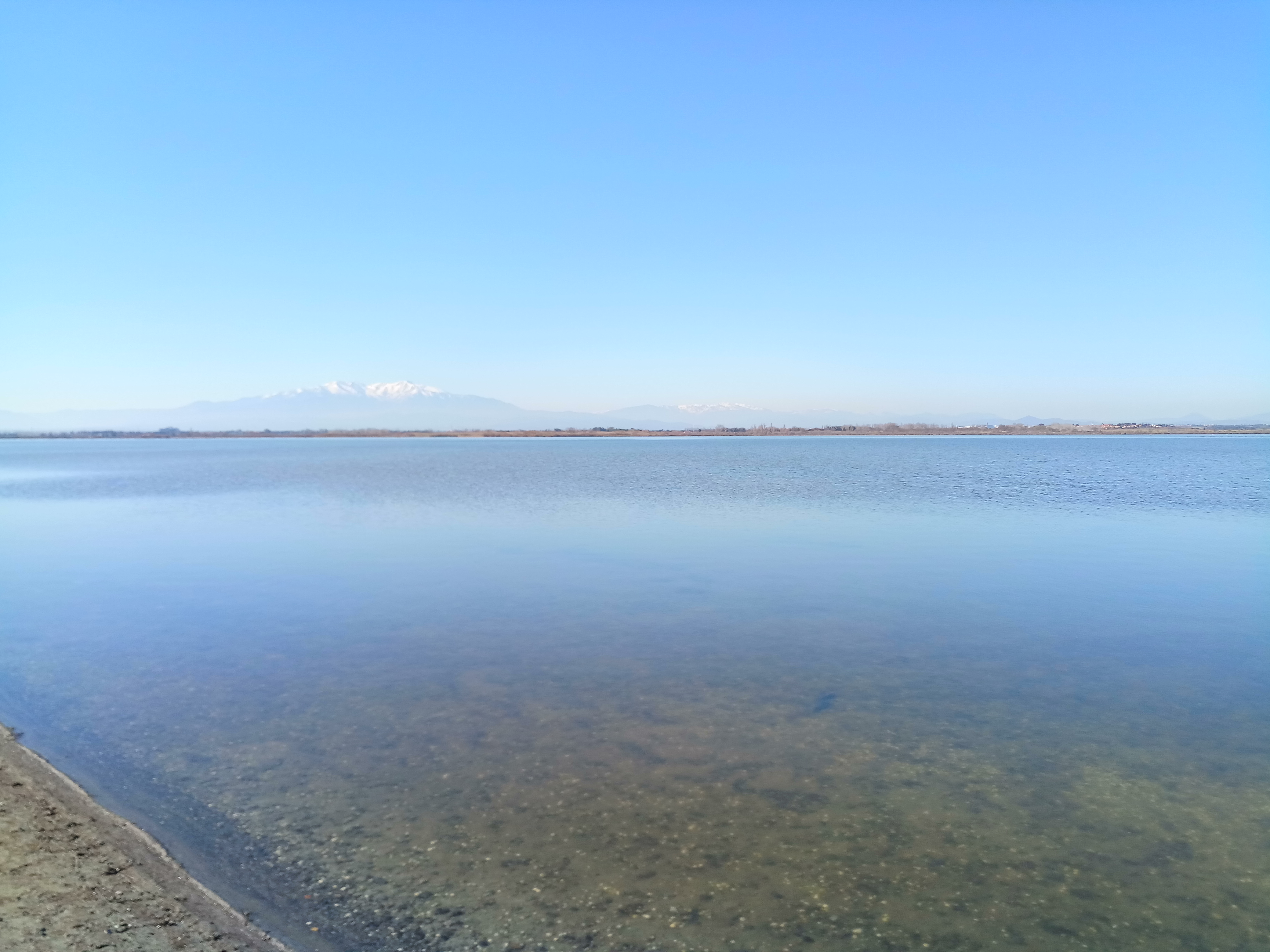 Photo n° 8 de l'avis de Dani.a fait le 18/02/2019 à 06:21