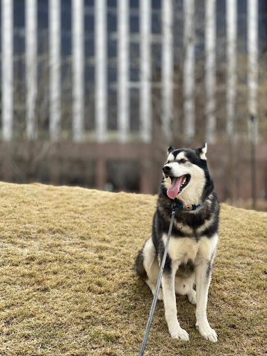 Park «Belo Garden», reviews and photos, 14 Main St & Griffin St. & Commerce St., Houston, TX 77002, USA