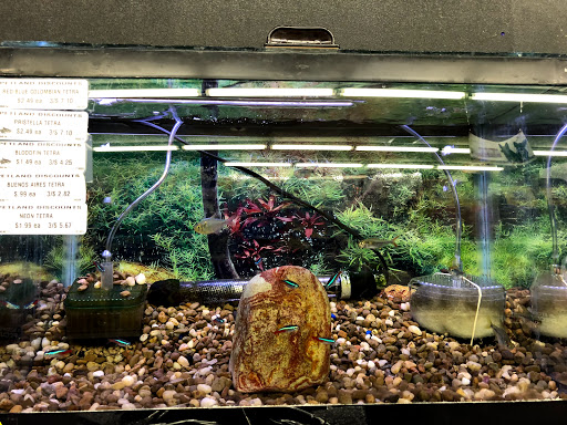 Pet Store «Petland Discounts - Kissena Blvd», reviews and photos, 71-8 Kissena Blvd, Flushing, NY 11367, USA