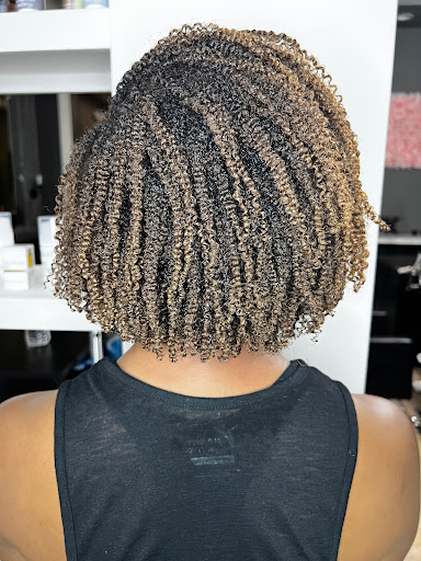 Hair Salon «Earnestly Natural Hair Care», reviews and photos, 10810 Emerald Club Ct, Raleigh, NC 27617, USA