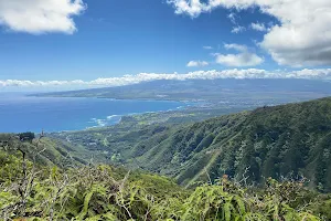 Waiheʻe Ridge Trail Summit image