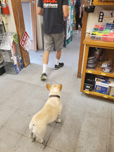 Long Beach Ace Hardware image