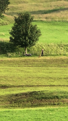 Vidéos hôtels Hotel Kaufmann 87672 Roßhaupten