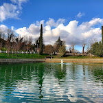 Photo n°1 de l'avis de Alessandro. fait le 19/03/2021 à 22:17 sur le  Parco Laghi dei Reali à Tivoli