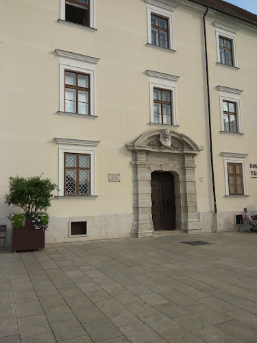 Collegium Musicum Jaurinense - Iskola