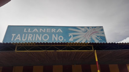Llanera la Taurino #2 - Barrio la Piragua, Cl. 23 #17-9, Chinú, Córdoba, Colombia