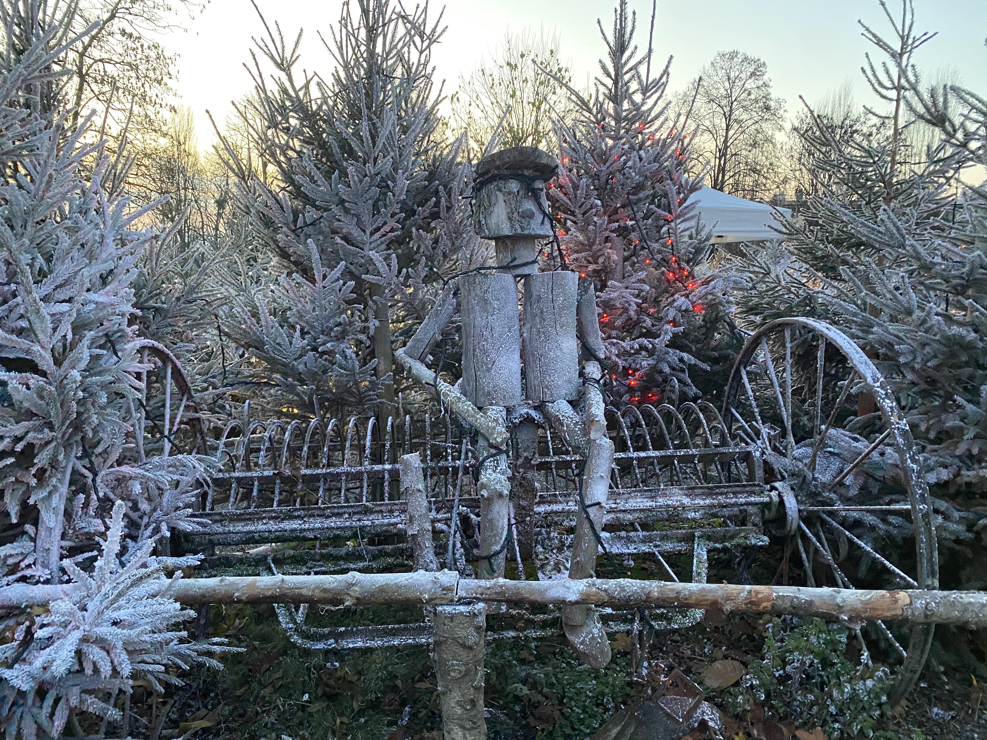Photo n° 20 de l'avis de Patricia.a fait le 16/12/2022 à 10:36