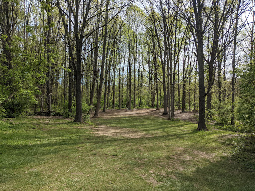 Disc Golf Course «Blendon Woods Disc Golf Course», reviews and photos, 4265 E Dublin Granville Rd, Westerville, OH 43081, USA