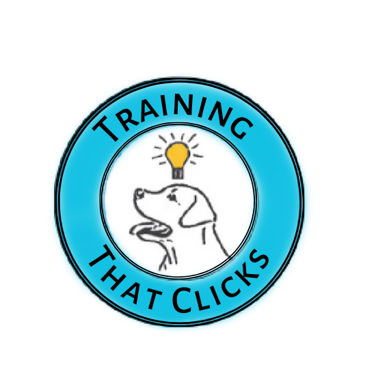 Training That Clicks
