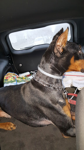 Pet Supply Store «Pet Supplies Plus», reviews and photos, 2155 Delaware Ave, Buffalo, NY 14216, USA