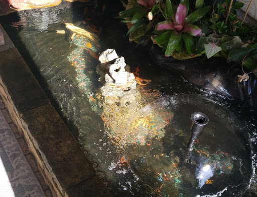 Pet Supply Store «Petco Animal Supplies», reviews and photos, 8111 W Broward Blvd, Plantation, FL 33324, USA