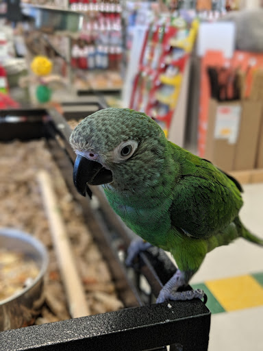 Pet Supply Store «Pet Supplies Plus», reviews and photos, 411 Commack Rd, Deer Park, NY 11729, USA