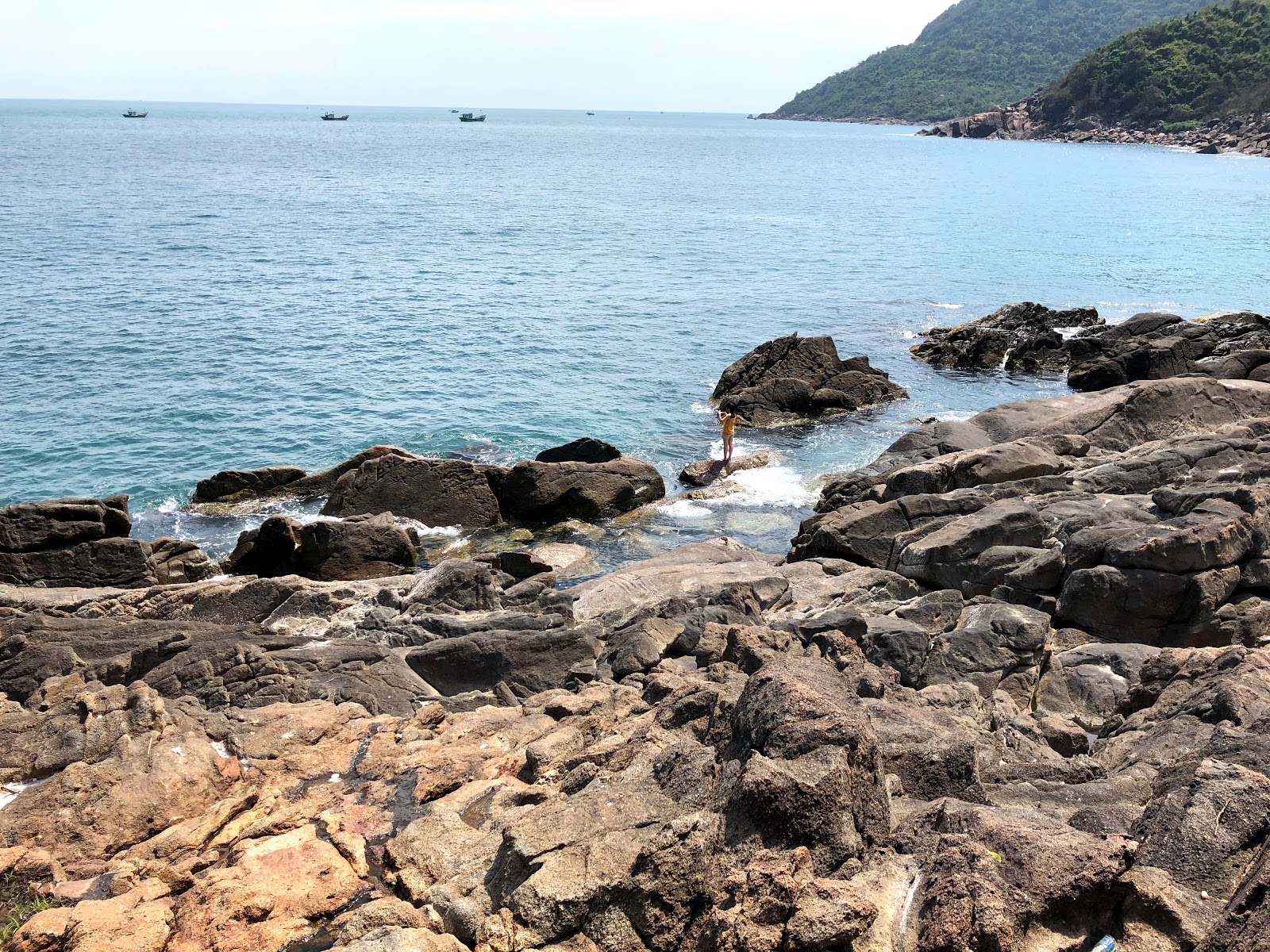 Φωτογραφία του Black Rock Beach άγρια περιοχή