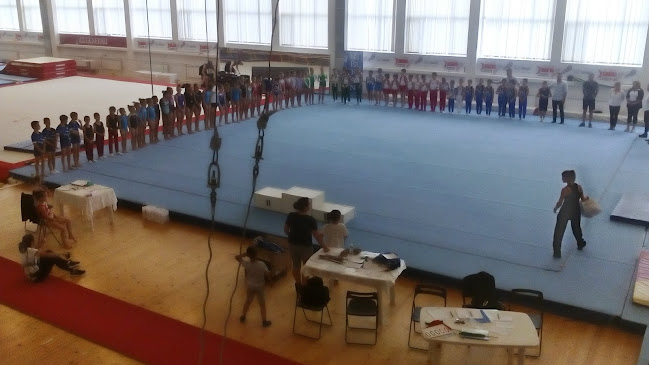 Клуб по художествена гимнастика "Левски-Триадица"