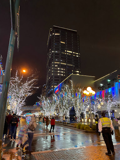 Clothing Store «The North Face», reviews and photos, 1001 Bellevue Way NE, Bellevue, WA 98004, USA