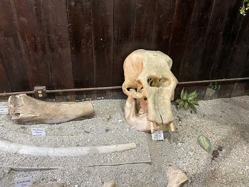 Museum «Phosphate Museum», reviews and photos, 101 SE 1st St, Mulberry, FL 33860, USA