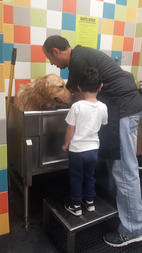 Pet Supply Store «Petco Animal Supplies», reviews and photos, 61-23 190th St, Fresh Meadows, NY 11365, USA