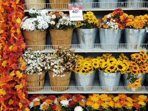 Craft Store «Michaels», reviews and photos, 1019 Bay Area Blvd, Webster, TX 77598, USA