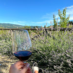 Photo n°1 de l'avis de Florian.i fait le 21/07/2020 à 17:59 sur le  Borgo Del Cabreo à Greve in Chianti