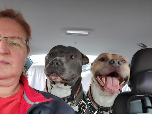 Pet Groomer «U Dirty Dog», reviews and photos, 232 Stevens Entry, Peachtree City, GA 30269, USA