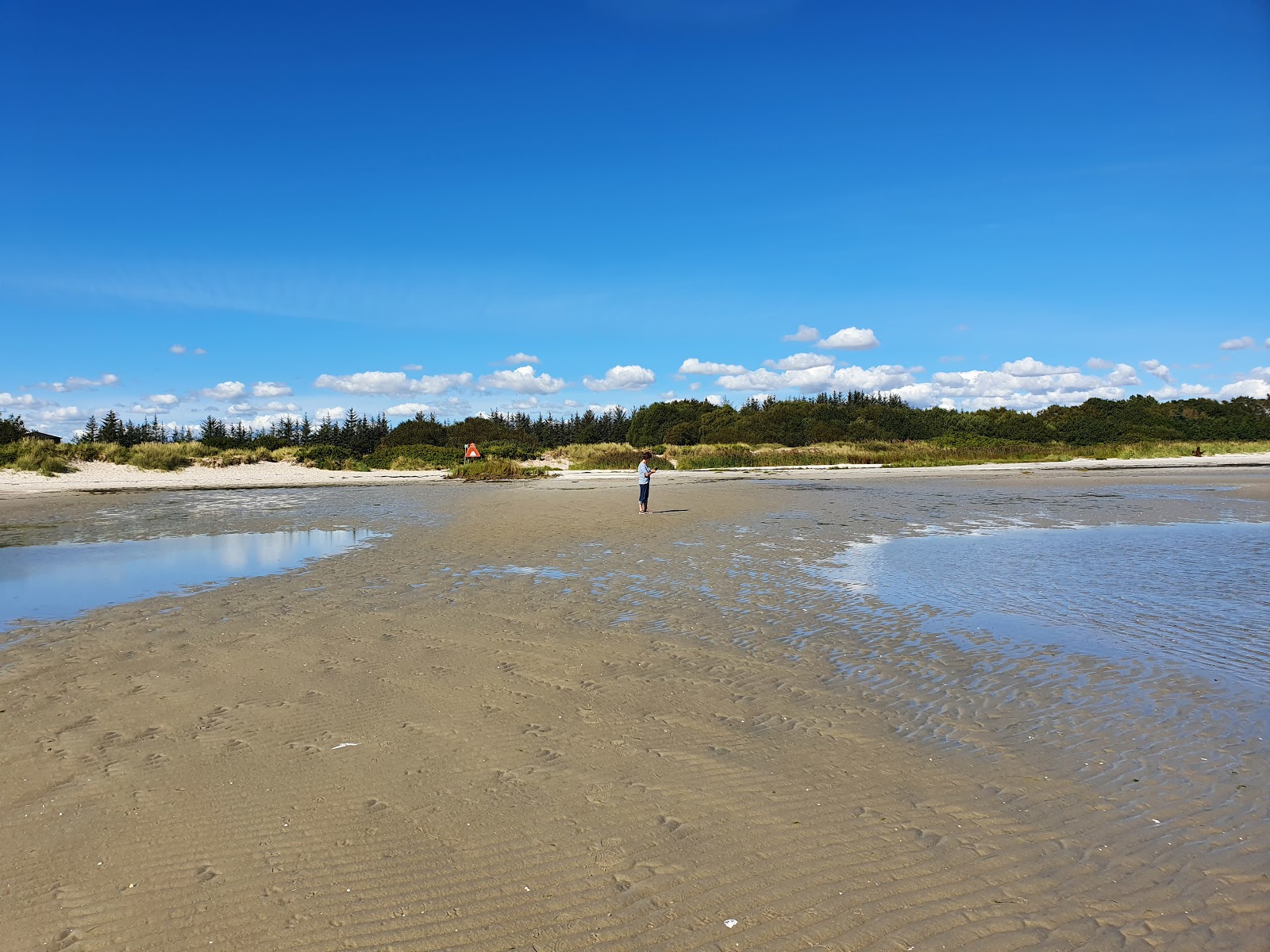 Oster Hurup Beach的照片 带有长直海岸