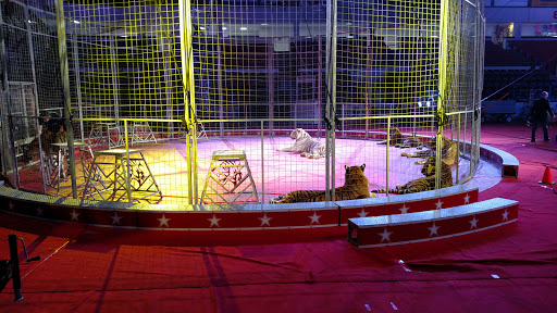 Ice Skating Rink «Dort Federal Credit Union Event Center», reviews and photos