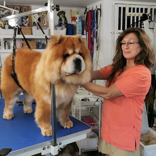 PELUQUERIA CANINA MARBELLA