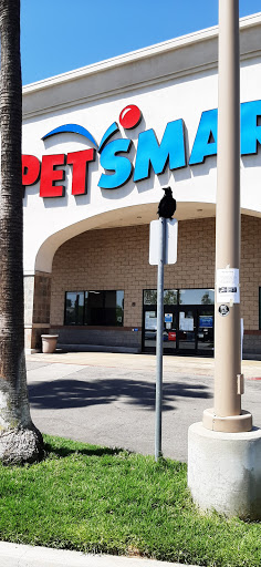 Pet Supply Store «PetSmart», reviews and photos, 24965 Pico Canyon Rd, Stevenson Ranch, CA 91381, USA
