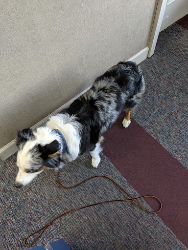 Dry Cleaner «Prestige Cleaners Inc», reviews and photos, 11428 Kingston Pike, Knoxville, TN 37934, USA