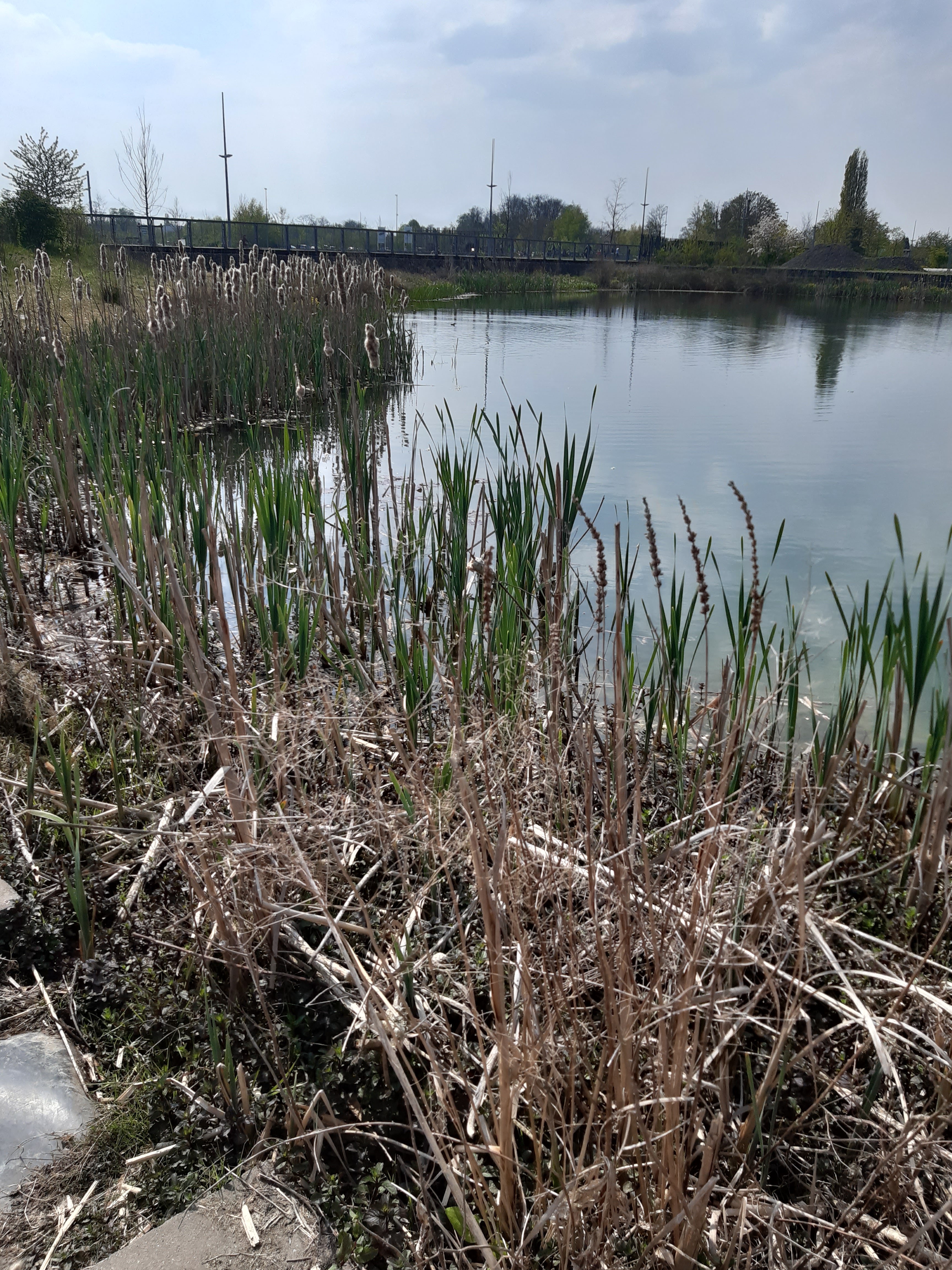 Photo n° 7 de l'avis de Vérane.o fait le 29/04/2021 à 08:20