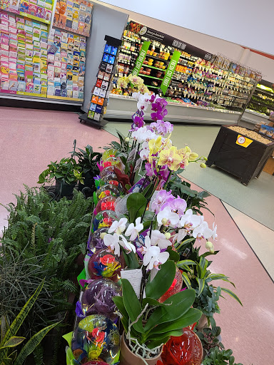 Supermarket «Winn-Dixie», reviews and photos, 6600 North Socrum Loop, Lakeland, FL 33809, USA