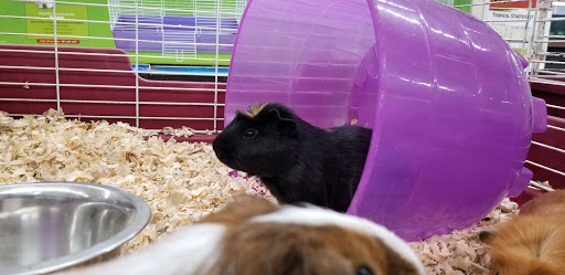 Pet Store «Salisbury Super Pet», reviews and photos, 329 Civic Ave, Salisbury, MD 21804, USA