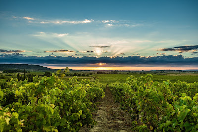 LAURAN CABARET - LAURE MINERVOIS 11800 à Laure-Minervois
