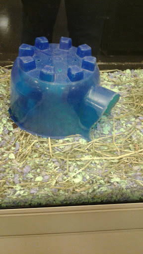 Pet Supply Store «PetSmart», reviews and photos, 901 US-1, North Brunswick Township, NJ 08902, USA