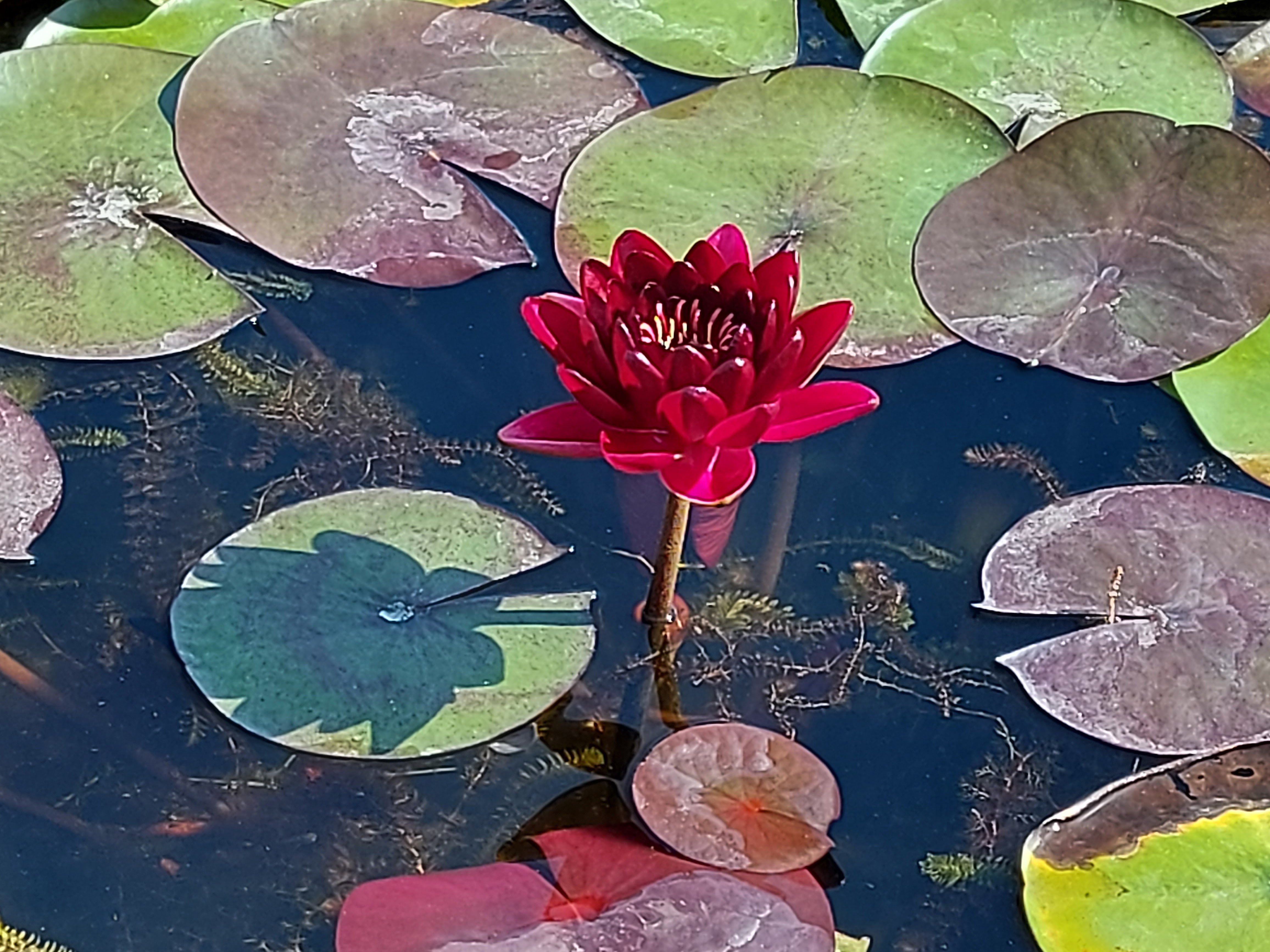 Photo n° 18 de l'avis de Brigitte.o fait le 02/09/2021 à 08:01