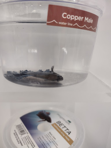 Pet Supply Store «Petco Animal Supplies», reviews and photos, 5975 20th St, Vero Beach, FL 32966, USA